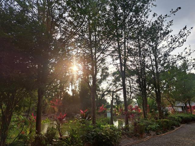 南投竹山農地-9