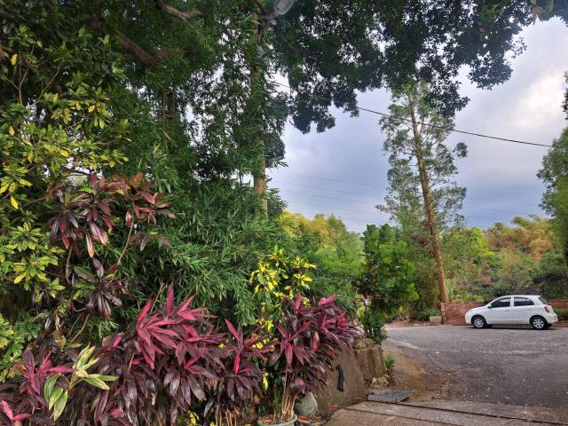 南投竹山農地-3